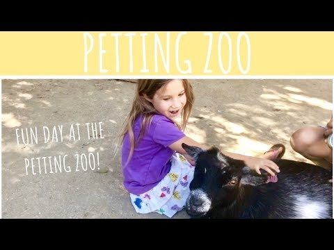 Fun Day At The PETTING ZOO!