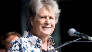 Too Much Sugar   BRIAN WILSON