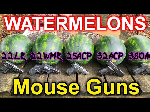 Mouse Guns VS Watermelons .22LR .22WMR .25ACP .32ACP .380ACP