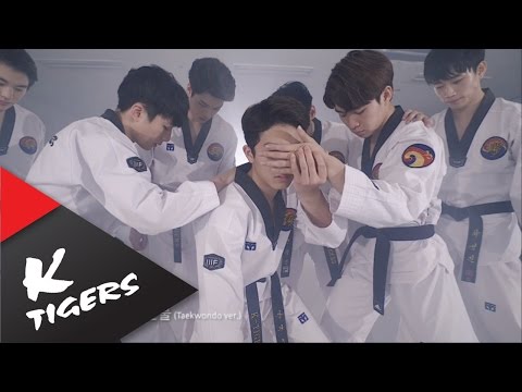 BTS - Blood Sweat & Tears Taekwondo ver.