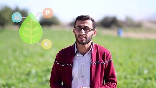 Video Gallery 1 6: How to Reduce Phosphorus Runoff?