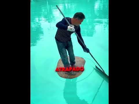 Pensaron que estaba atrapado 😨