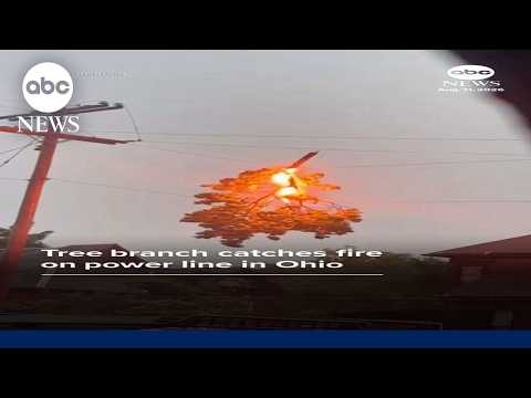 Tree branch catches fire on power line in Ohio