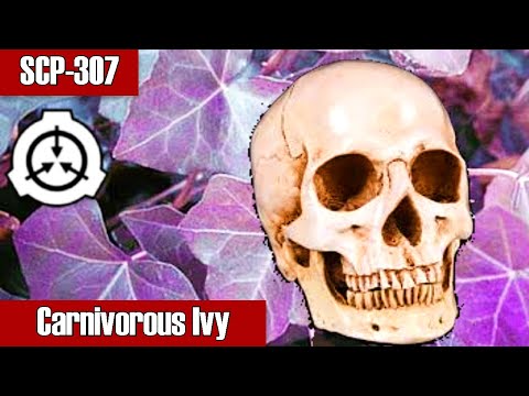 , title : 'English ivy that eats living creatures and humans! SCP-307 Carnivorous Ivy | object class keter'