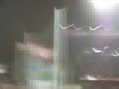 Extasis Atlético !!