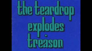 THE TEARDROP EXPLODES books 1980