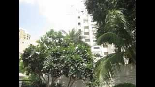 Water Lily and White Lily