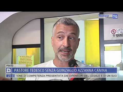 2019-07-19 NOTIZIE DI PRATO TG ORE 20.50