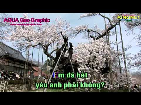 Anh khac hay em khac (remix) karaoke beat