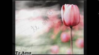 Il Divo - Hasta Mi Final [English/Spanish Lyrics]
