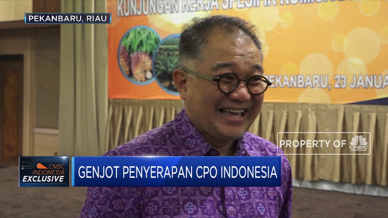 Program Green Fuels Pemerintah Genjot Penyerapan CPO RI