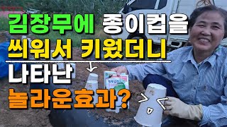 김장무 이렇게 하면 발아율 100% 성공하는법 심는시기 심는법 종이컵재배 - planting radish k…