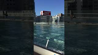 🇯🇵Travelogue - Oasis 21, Nagoya #japan #nagoya