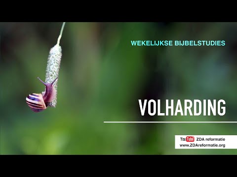 Wekelijkse Bijbelstudie 15 december 2018 - Volharding