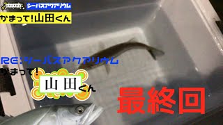 お休み委員会【RE:シーバスアクアリウム】かまって山田くん！〜突然ですがお別れ。。。四〜六話ダイジェスト〜