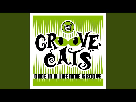 Once In A Lifetime Groove (Radio Edit)