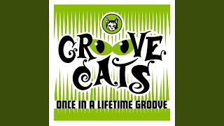 Once In A Lifetime Groove (Radio Edit)