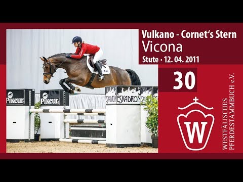 30 Vicona Stute v. Vulkano - Cornet‘s Stern
