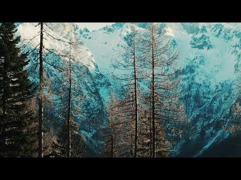 Cari Tibor - December