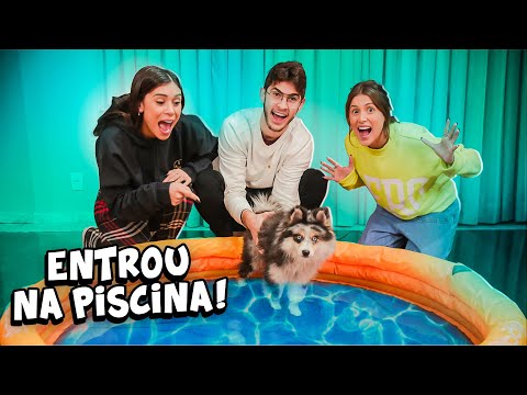 COLOQUEI MINHA CACHORRINHA NA PISCINA PELA PRIMEIRA VEZ!!! (MAYA NA PISCINA)