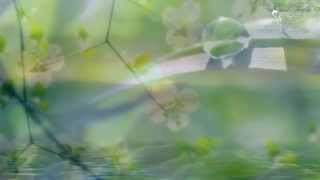 ✗ Denn das Glück ist zum greifen nah&#39;.