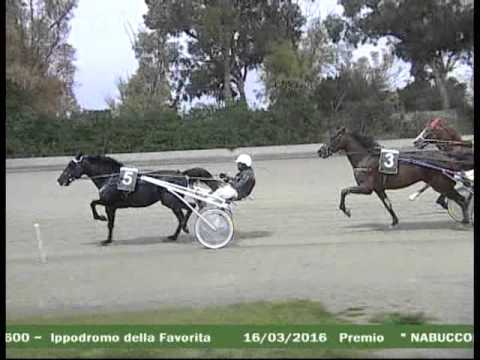 6° CORSA  del 16 MARZO 2016