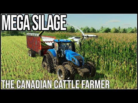 MEGA SILAGE - The Canadian Cattle Farmer - Episode 49