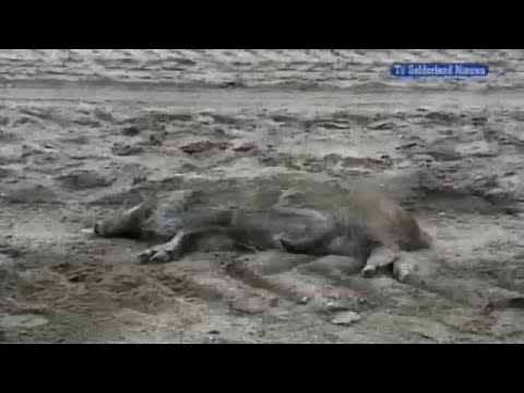 GLD Nieuws 23 oktober 2007 - Nieuws