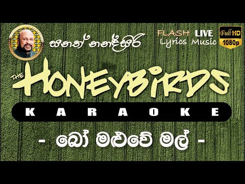 Bo Maluwe Mal Karaoke (Without Voice) බෝ මළුවේ මල්  කැරෝකේ