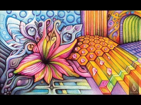 Shamans Dream - Nectar [Visualization]