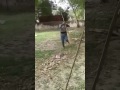 3 Peg Funny Song