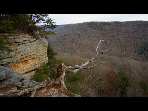 Backpacking the Savage Gulf SNA, TN - Nov 2019