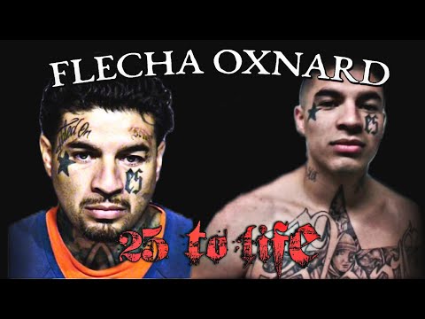 FLECHA OXNARD COLONIA GANG DROPOUT KILLS MOTHER OF 5 #documentary #oxnard #news #california #shorts