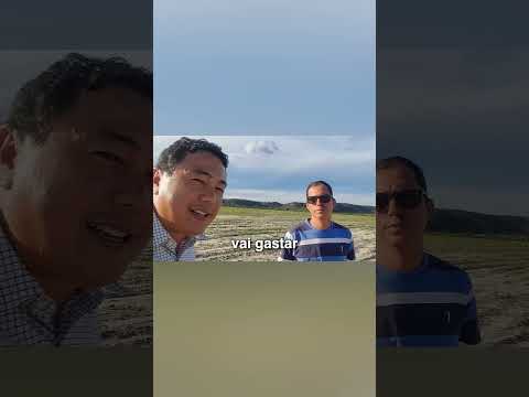 Todo produtor de soja deve saber disso