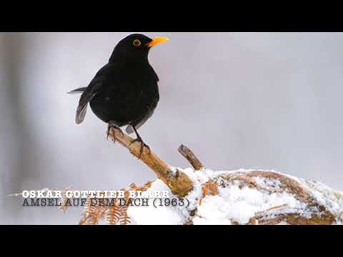 Oskar Gottlieb Blarr - Amsel auf dem Dach - Luisa Rapa (Thomaskirche Leipzig)