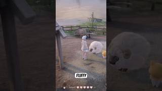 Itβs so fluffy! ππΈ #infinitynikki #fluffy #infinitynikkigameplay #infinitynikkigame #letsplay