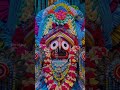 Shyama Preet Main Tose Laga Baitha Hu Jai Shri Shyam Baba Newvideo Viralvideo Trending Shorts