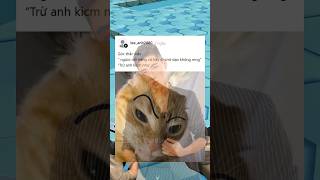 #shorts #threads #memes #pov