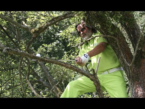 Intro Startseite Task Oriented Training