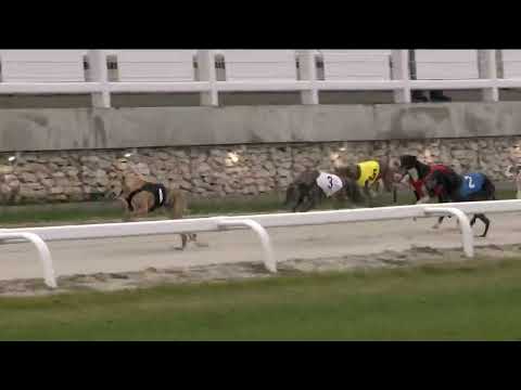 2022.11.26. 06. futam - WGO Nagydíj