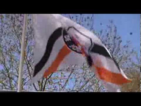 Jodan Boys Report 2013/2014