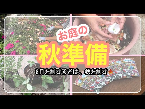  2月は庭で何をしましょうか？最初に植える種と忘れてはならない準備!  庭園