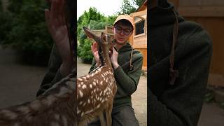 Wir lassen das mal unkommentiert! #wald #stadtleben #wandern #kindergarten #tiere