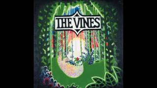 The Vines - Sunshinin’