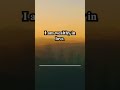Money Affirmations That Work | Affirmations for Positive Thinking | Positive Affirmations, Wealth