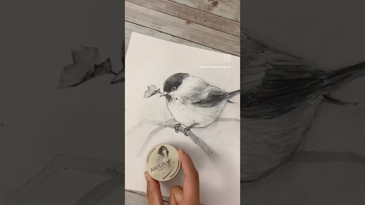 Artgraf watercolor graphite ✏️