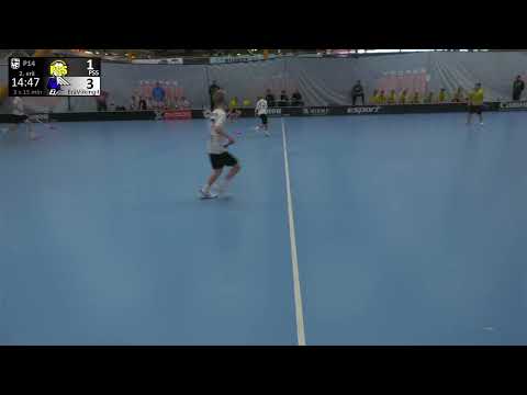 MAALIKOOSTE 5.10.2025 klo 11:00, P14 Sininen A ES, PSS Yellow - EräViikingit Musta