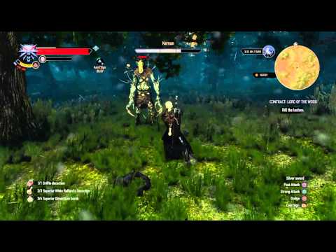 How to complete the Lord of the Wood Contract and defeat the Leshen - The Witcher 3