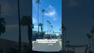 #shorts #ショート #sandiego #サンディエゴ
