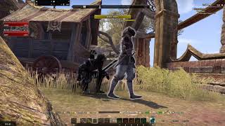 ESO - Stealing For Fun And Profit (Long Version)